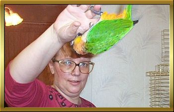 Mango